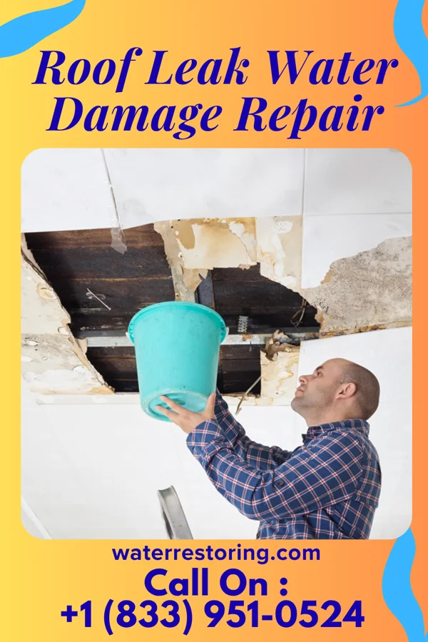 Roof Leak Water Damage Repair in Pink, OK